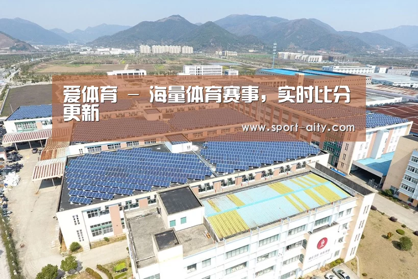 案例展示二