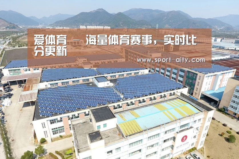 案例展示一