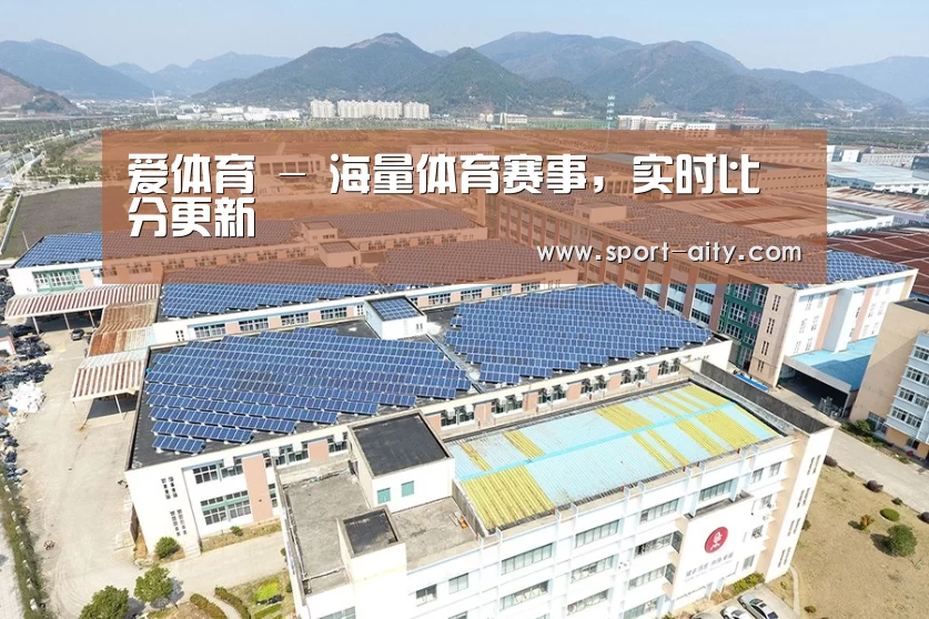 案例展示三