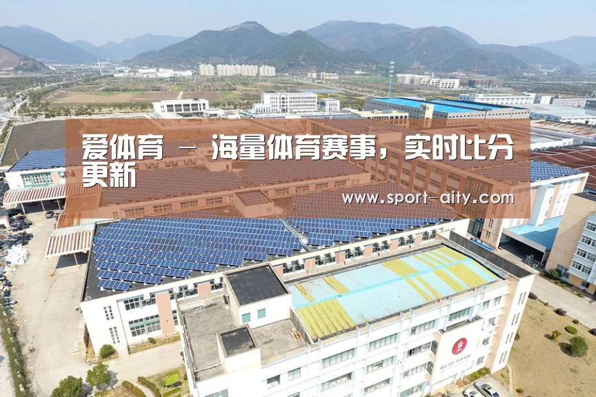 案例展示三