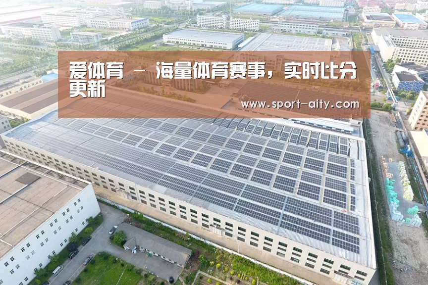案例展示四